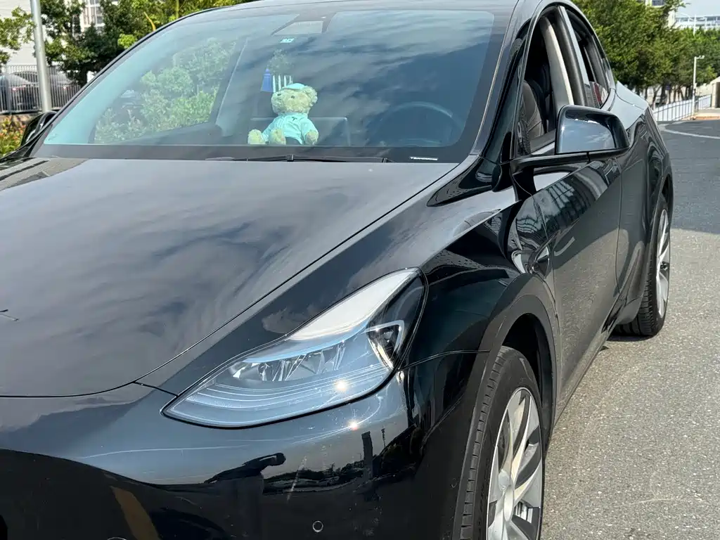 Tesla Model Y — миниатюра 15
