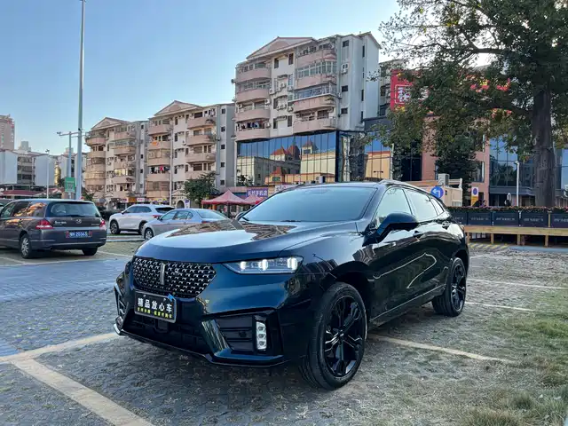 WEI PAI WEI BRAND VV7 2021