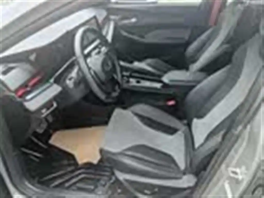 GEELY AUTOMOBILE BINRUI