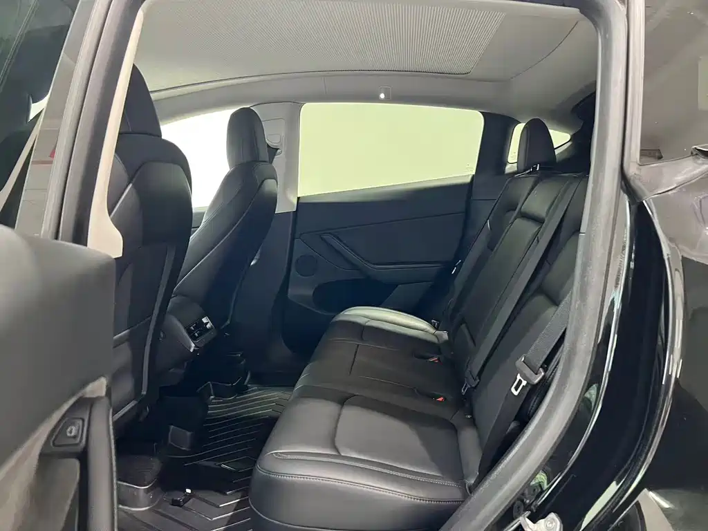 Tesla Model Y — миниатюра 5