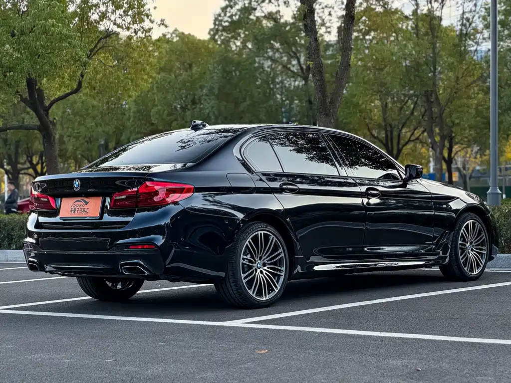BMW 5 Series 5 2018 530Li Premium M Sport