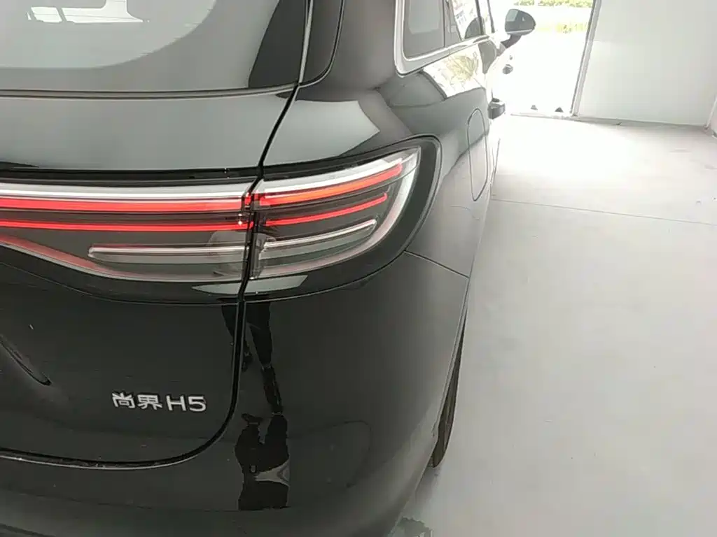 Shangjie Shangjie H5 — миниатюра 8