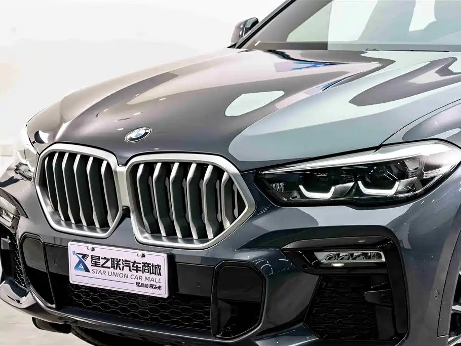 BMW X6 2021 xDrive30i M Sport