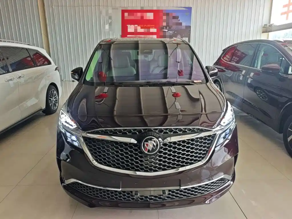 Buick GL8 — миниатюра 3