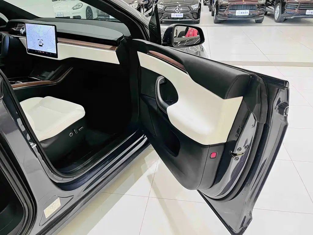 Tesla Model X — миниатюра 8
