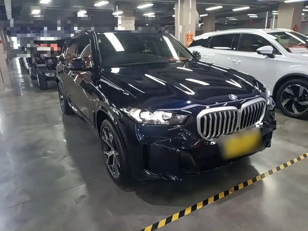 BMW X5 — миниатюра 4