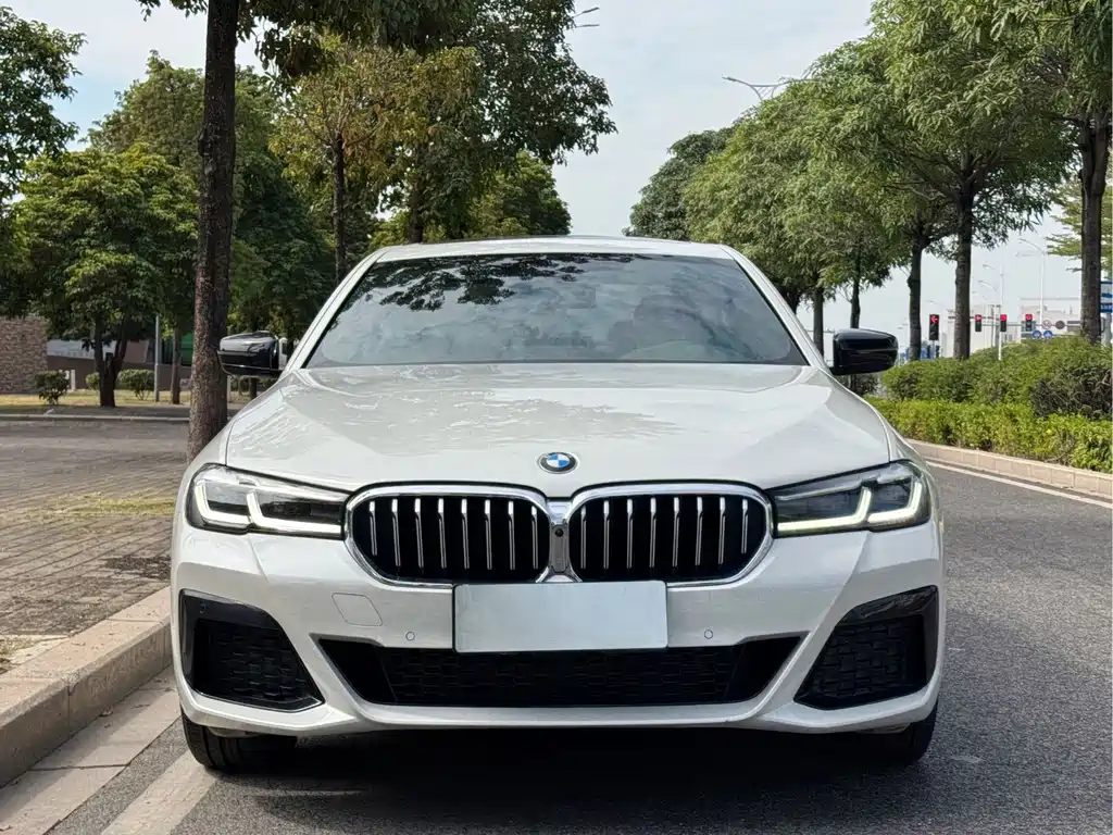 BMW 5 Series — миниатюра 2