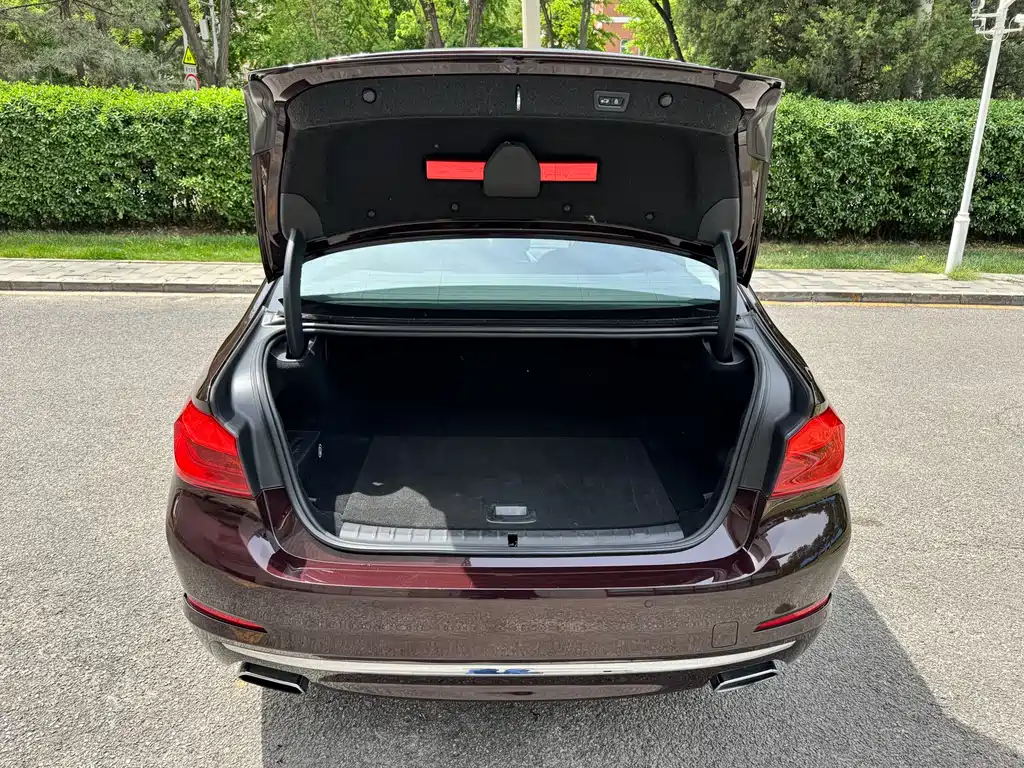 BMW 5 Series 5 2019 530Le Luxury