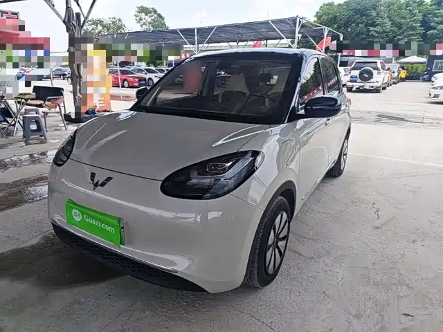 2024 Wuling Motors Binguo