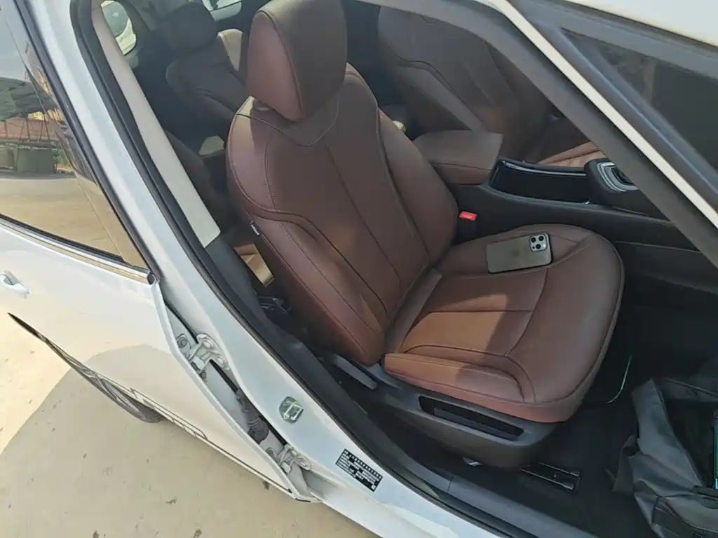 Buick GL6 — миниатюра 25