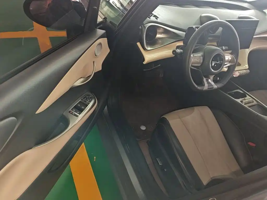 BYD Dolphin — миниатюра 16