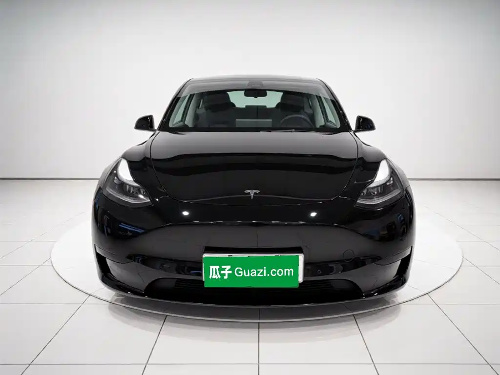 Tesla Model Y — миниатюра 2
