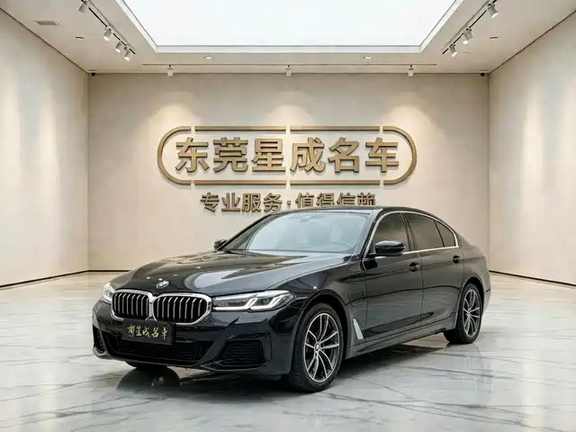 BMW 5 SERIES
