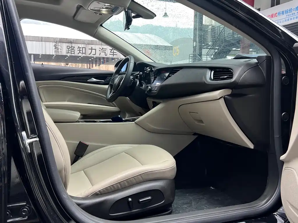 Buick Regal — миниатюра 22