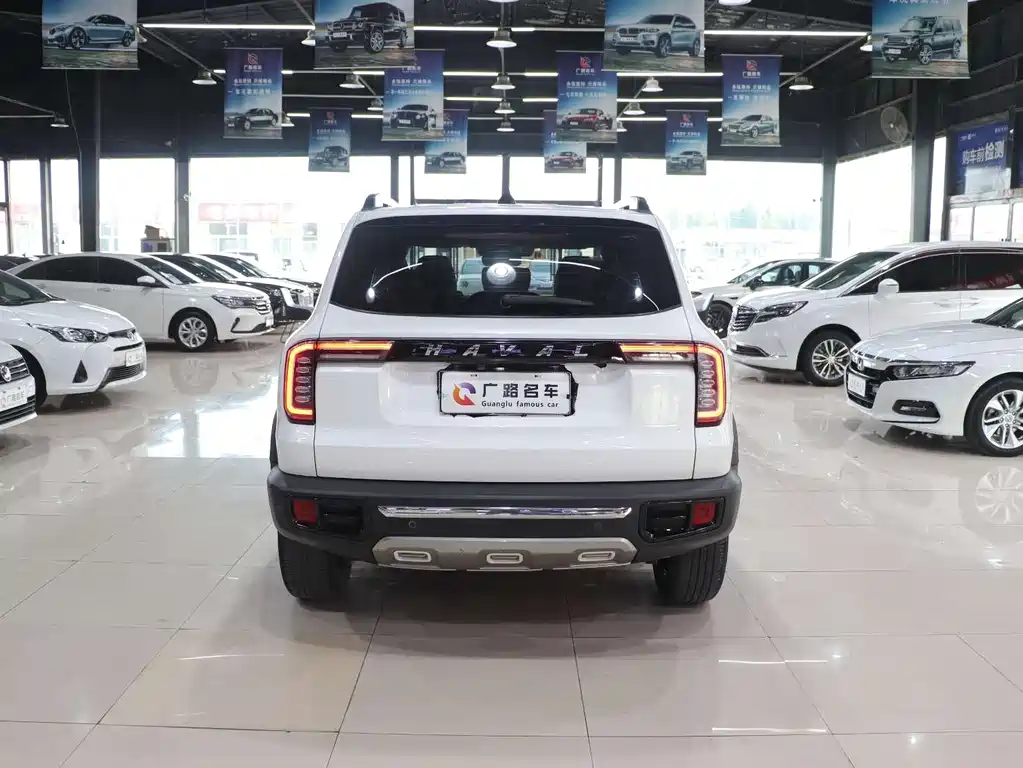 HAVAL BIG DOG