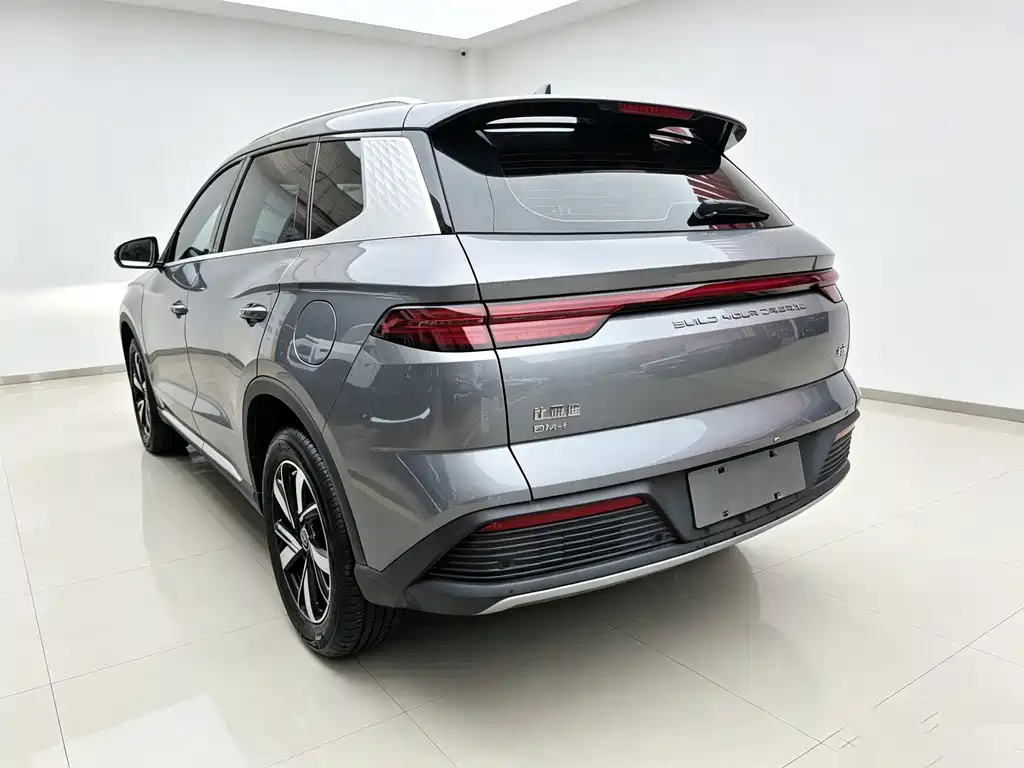 BYD Pro New Energy — миниатюра 7