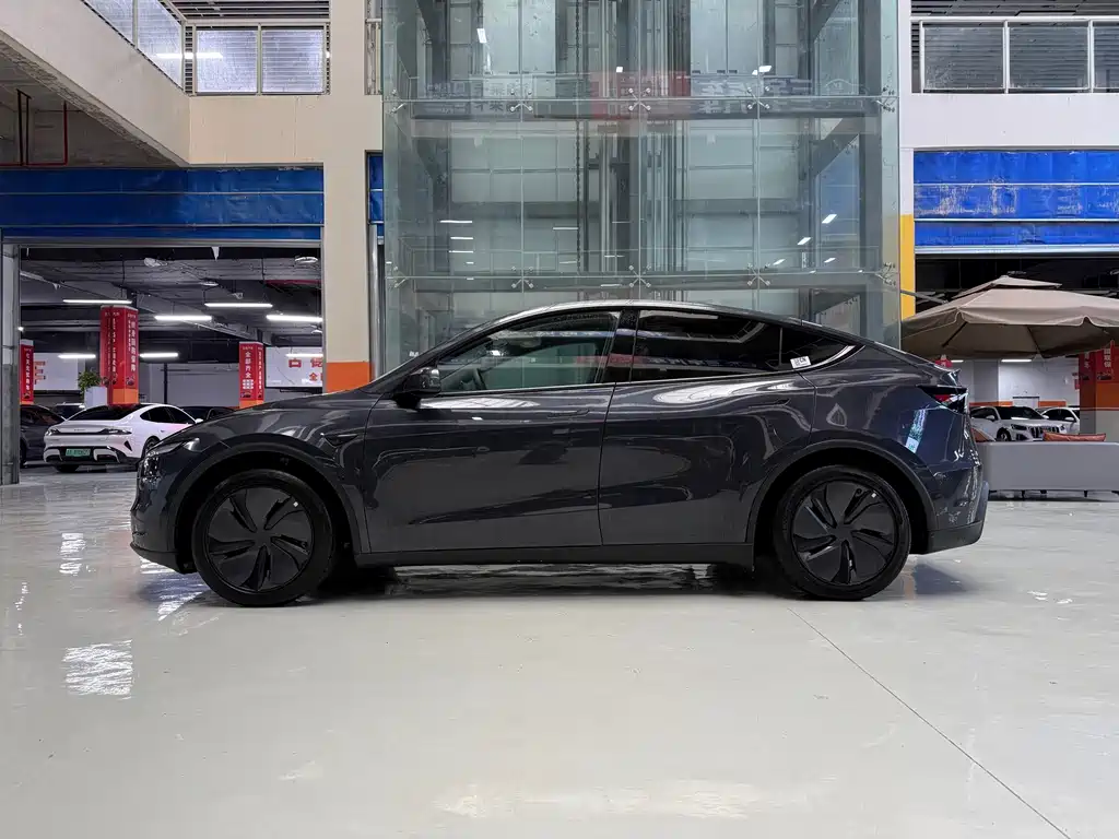 Tesla Model Y — миниатюра 4