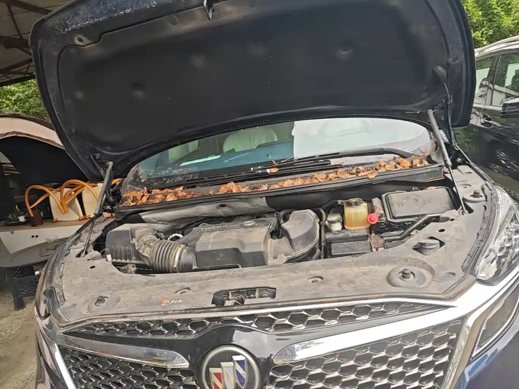 Buick GL8 — миниатюра 20