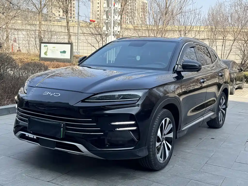 Byd PLUS New Energy 2024