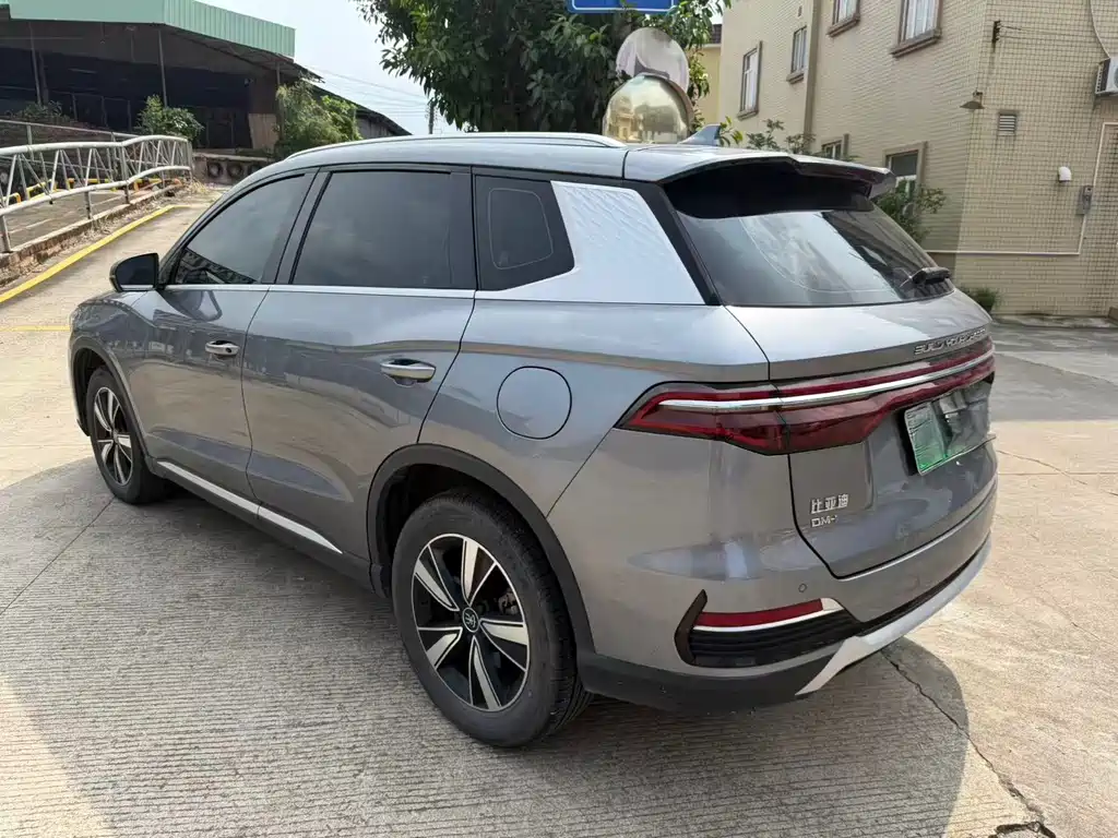 BYD Pro — миниатюра 6
