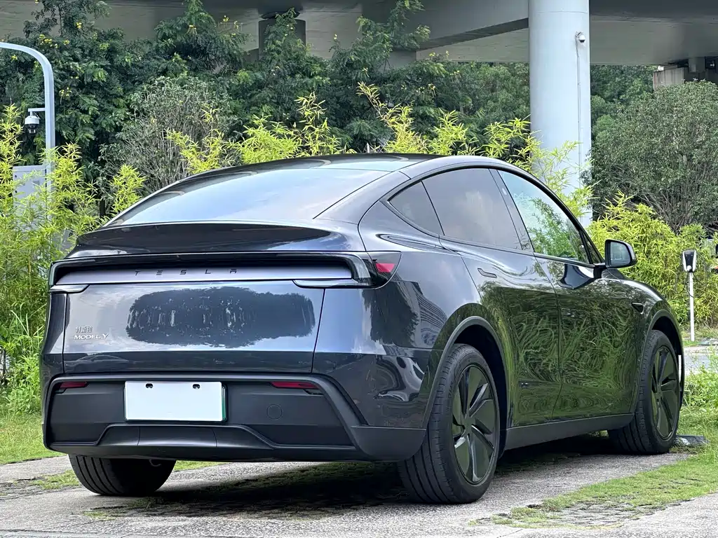 Tesla Model Y — миниатюра 4