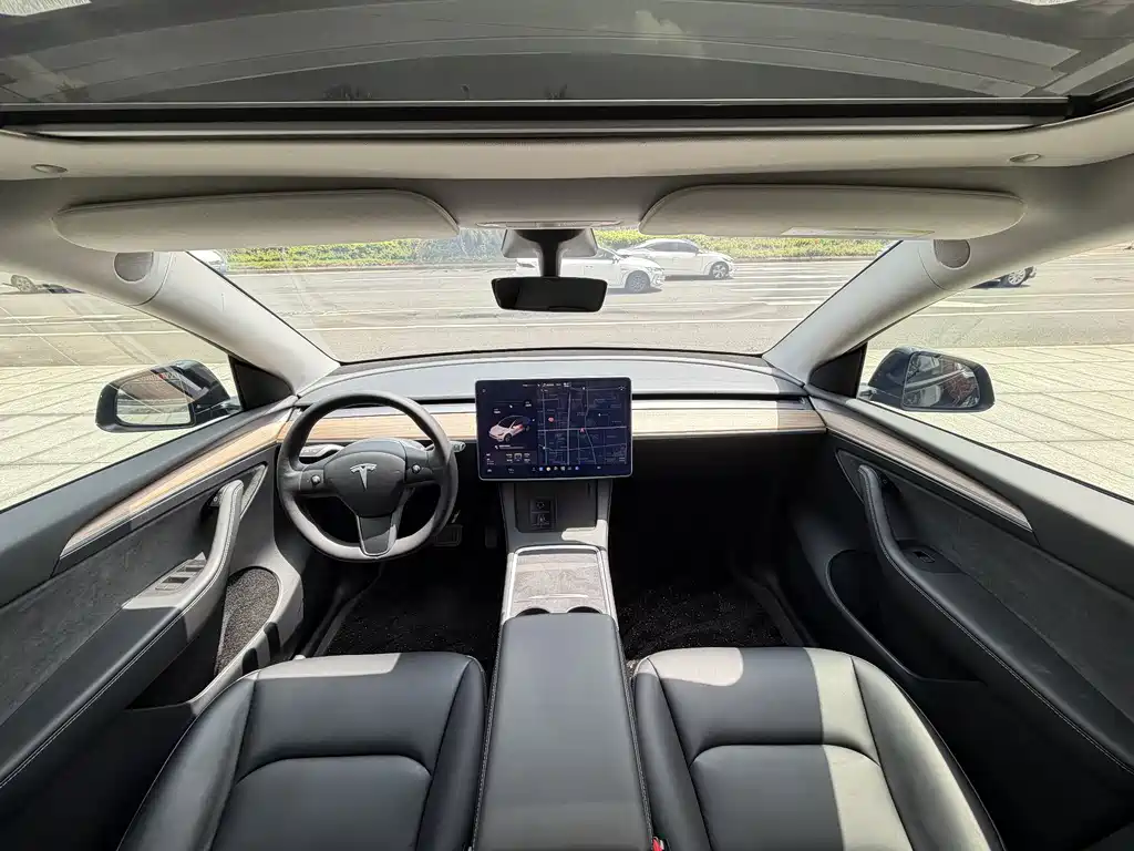 Tesla Model Y — миниатюра 6