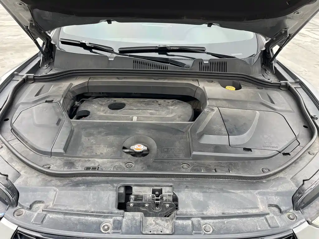 WEI PAI WEI BRAND VV5