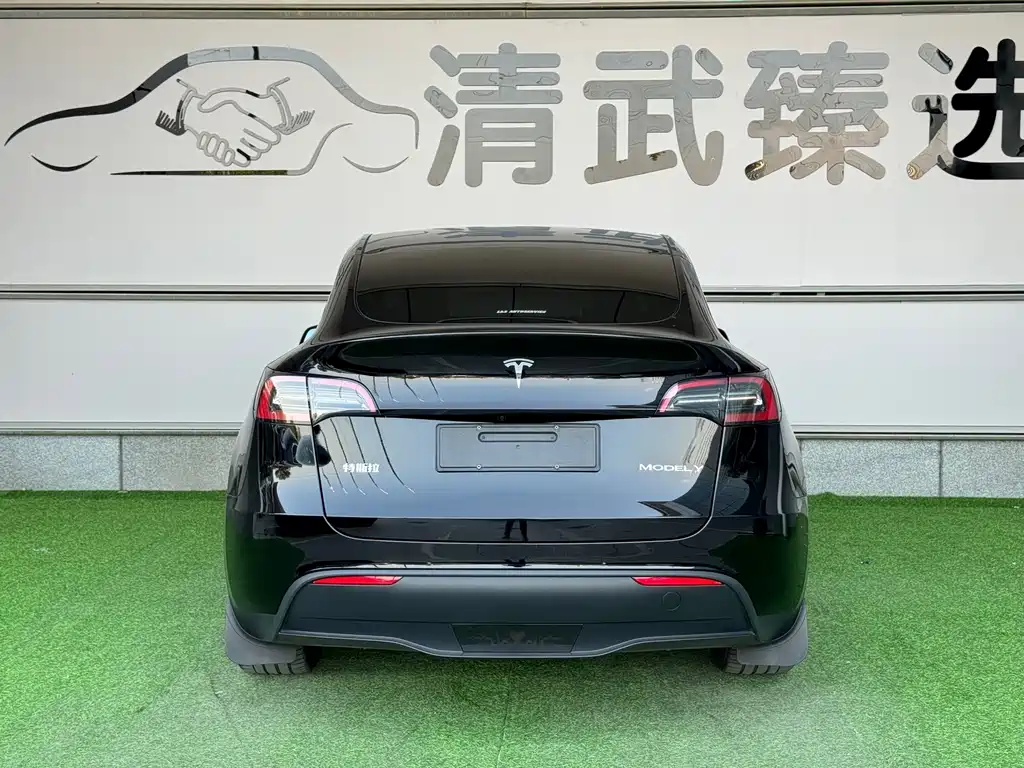 Tesla Model Y — миниатюра 14