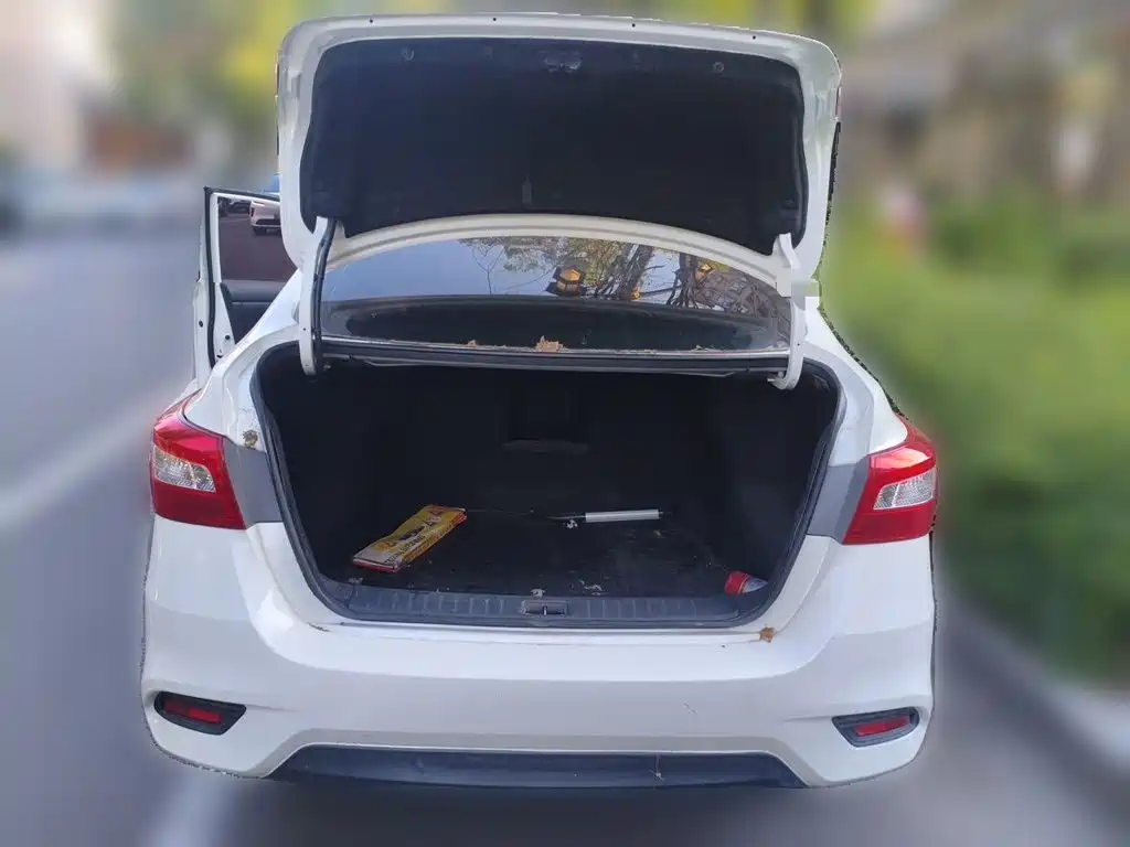 Nissan Sylphy — миниатюра 20