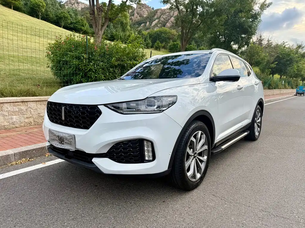 Wey Wey VV6