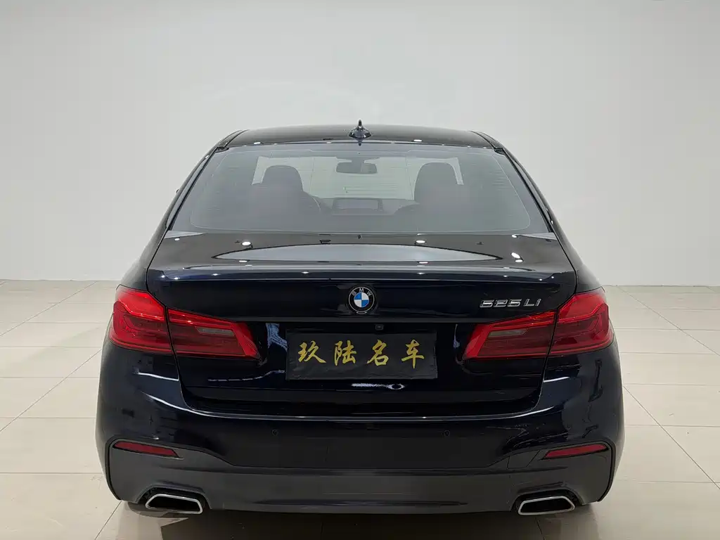 BMW 5 Series — миниатюра 14