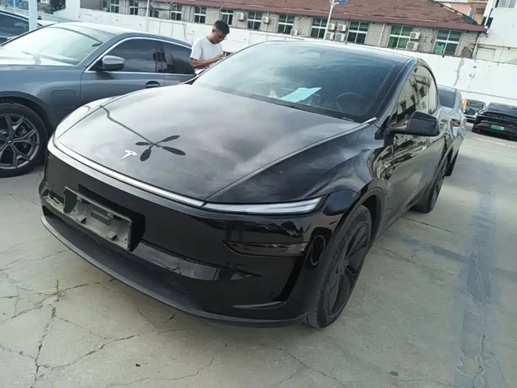 Tesla Model Y — миниатюра 2