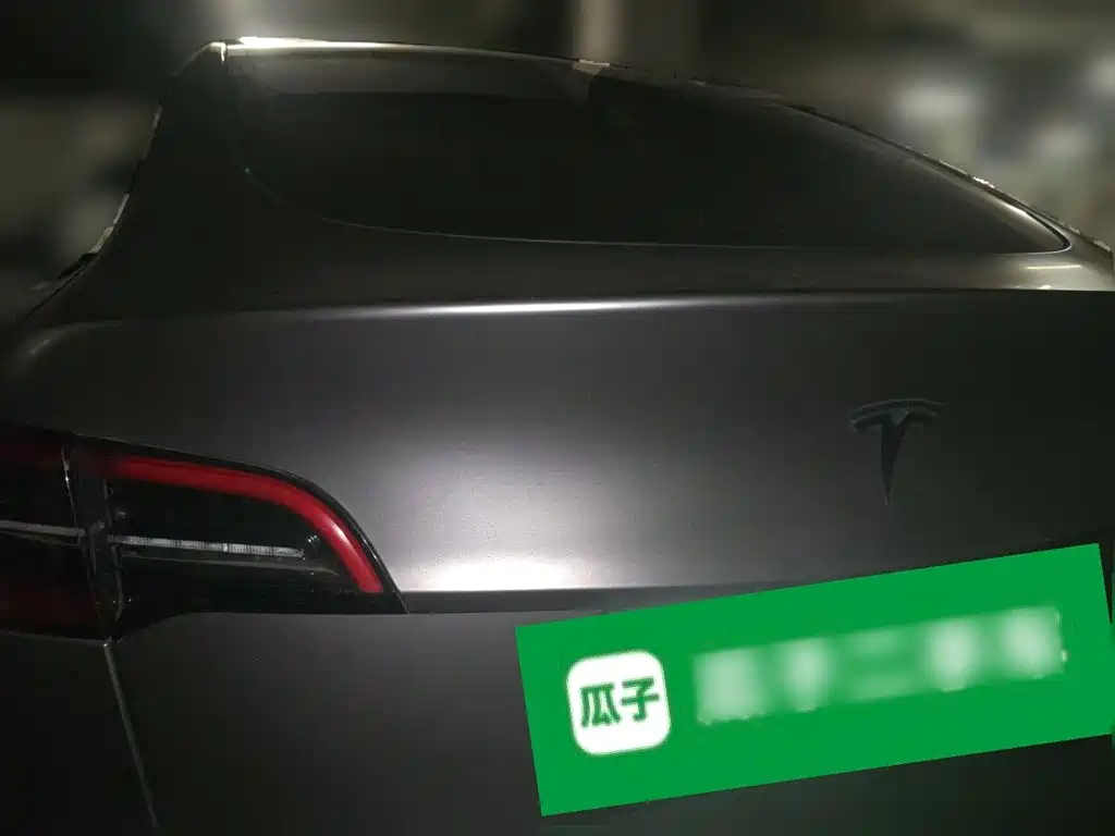 Tesla Model Y — миниатюра 4