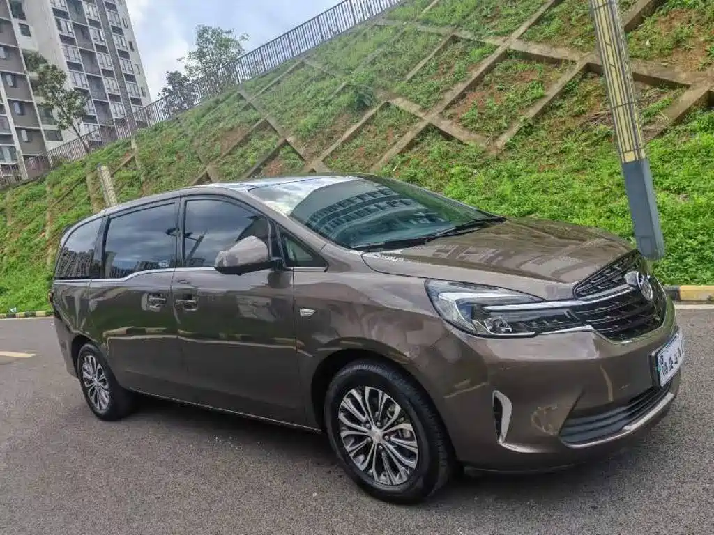 Buick GL8 — миниатюра 3