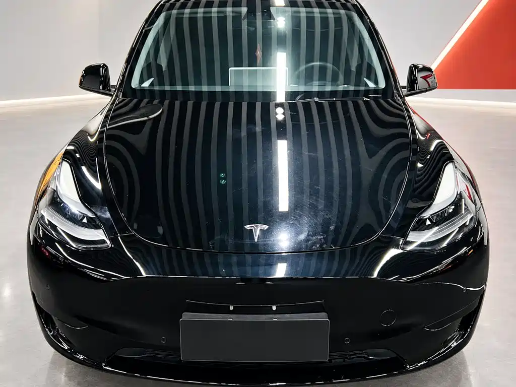 Tesla Model Y — миниатюра 2