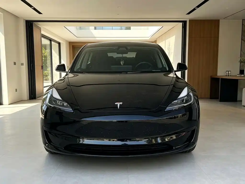 Tesla Model 3 — миниатюра 6