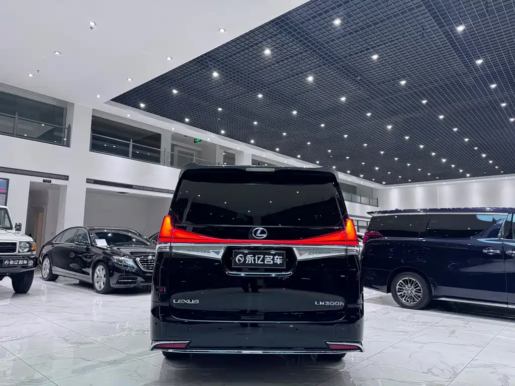 LEXUS LM