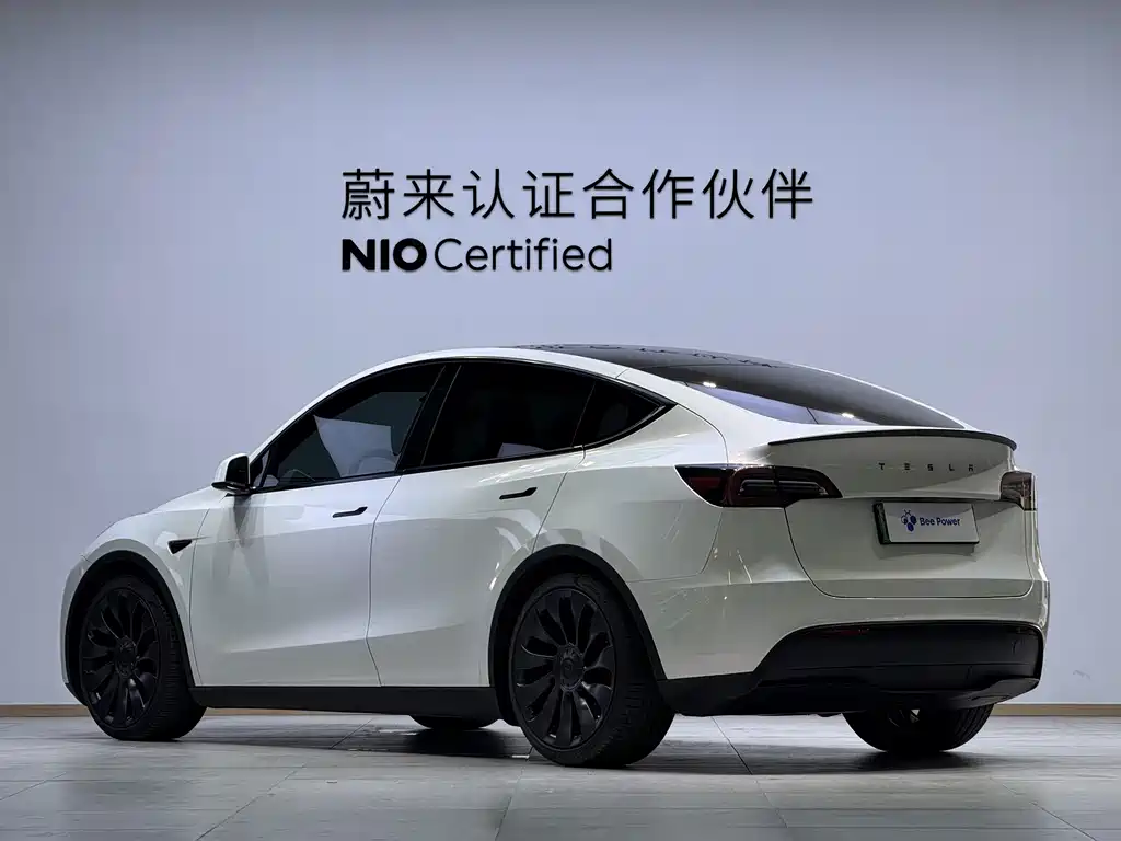 Tesla Model Y — миниатюра 8