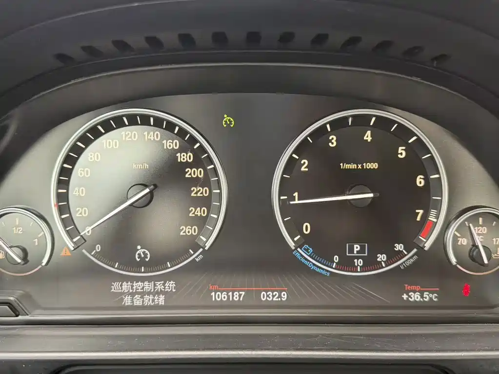 BMW 5 Series 5 2017 525Li Lead