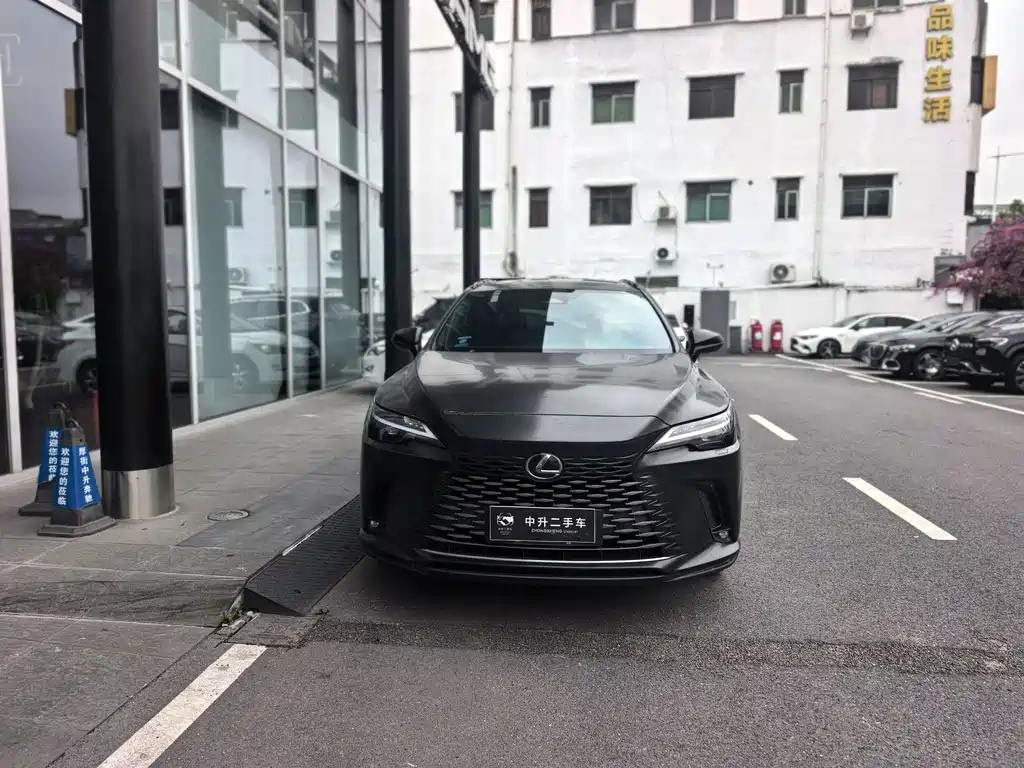 Lexus RX 2026 300 Black Edition