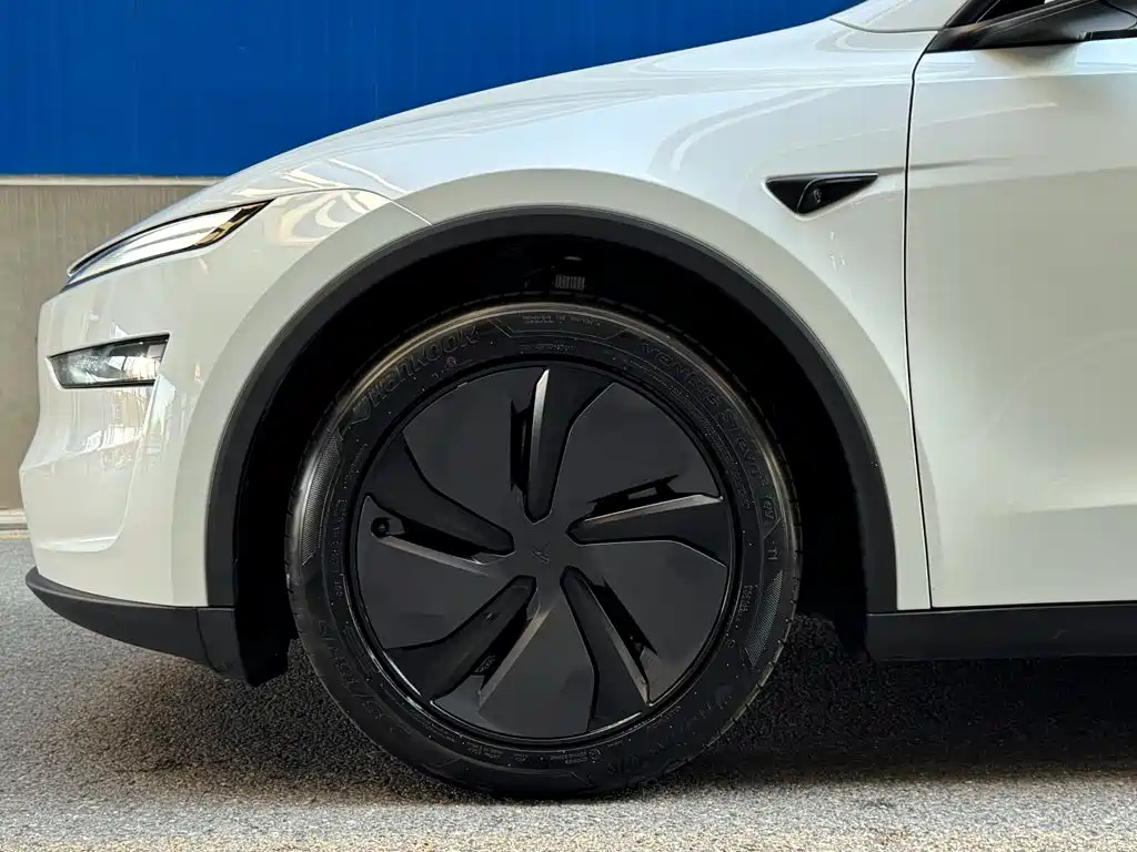 Tesla Model Y — миниатюра 6