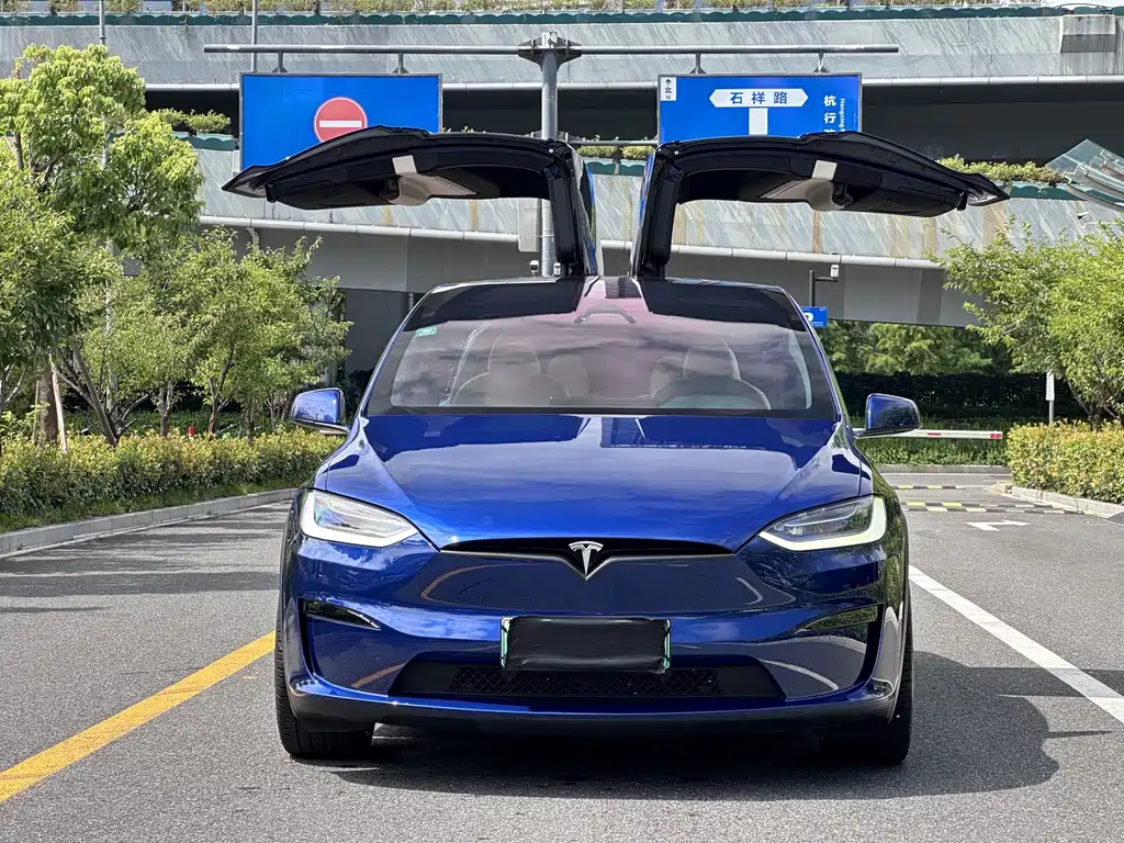 Tesla Model X — миниатюра 2