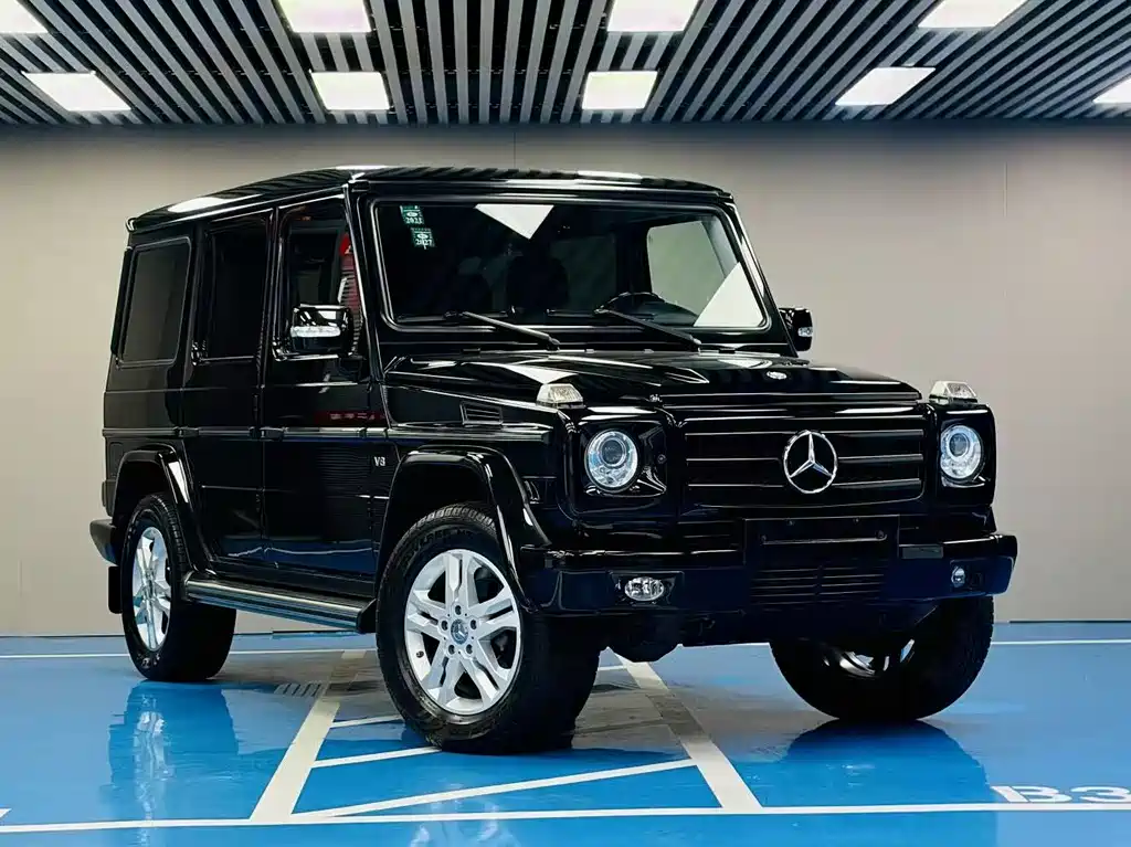 Mercedes-Benz G-Class G 2010 G 500
