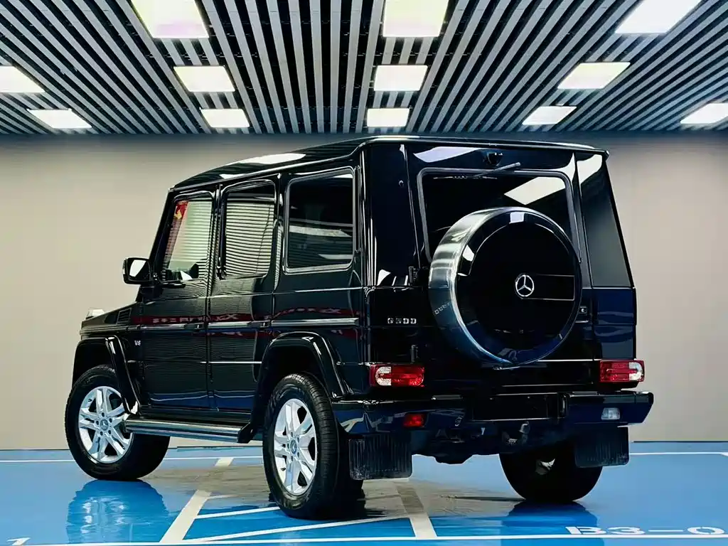 Mercedes-Benz G-Class G 2010 G 500