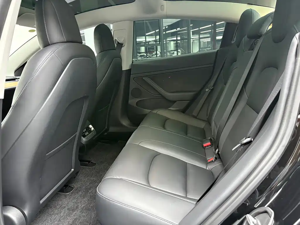 Tesla Model 3 — миниатюра 6
