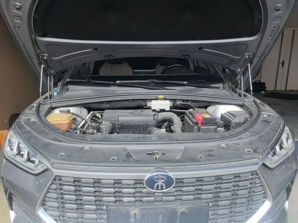 BYD PLUS — миниатюра 20