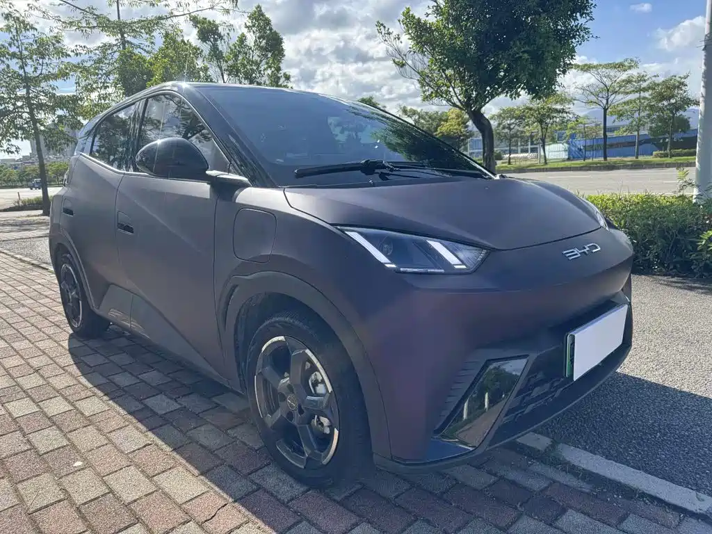 BYD Seagull 2024 305km Freedom