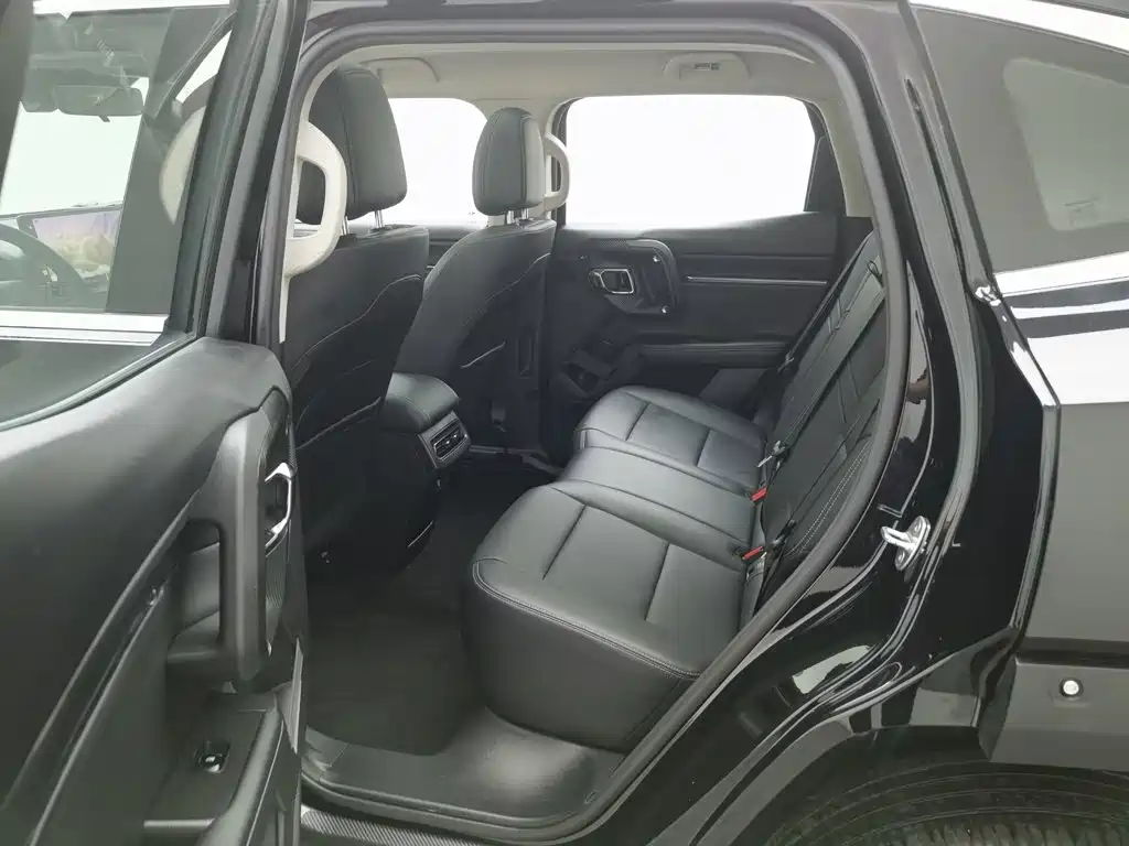 Haval Big Dog PLUS New Energy — миниатюра 15