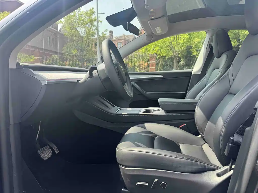Tesla Model Y — миниатюра 4