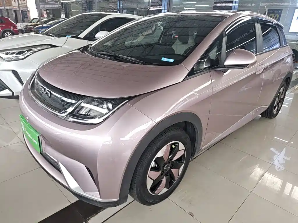 BYD Dolphin — миниатюра 2